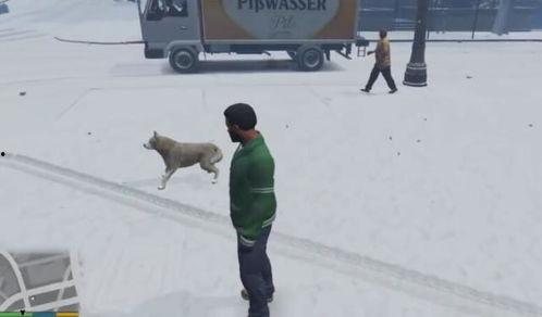 gta5热咖啡视频,极限操作与惊险刺激的冒险之旅