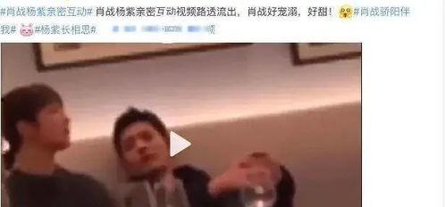 亲摸视频,情感互动中的温馨瞬间