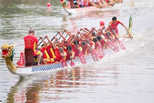 划龙舟视频,共赏竞技风采
