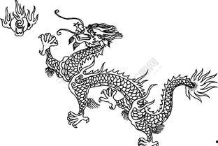 龙怎么画视频,跟随视频教程，轻松绘制神秘龙形