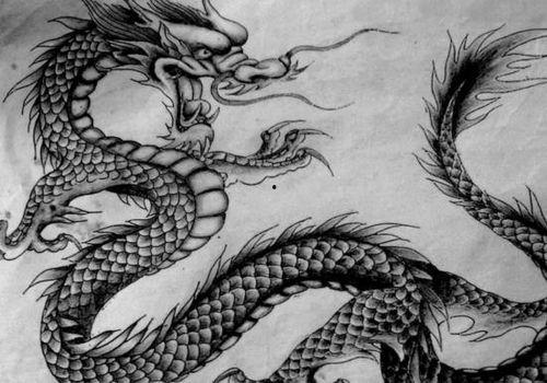 龙怎么画视频,跟随视频教程，轻松绘制神秘龙形