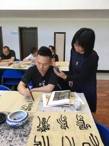 书法培训视频,一笔一划间领略中华书法之美