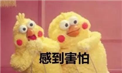 捉蛇视频,捕捉蛇类专家的惊心动魄一幕