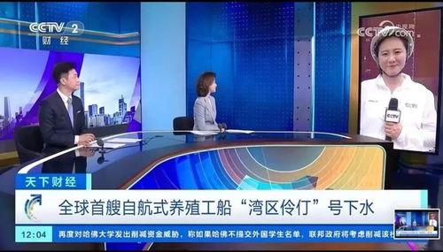 中国新闻视频,深度解析最新视频报道