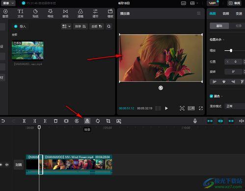 视频镜像翻转,揭秘视频中的奇妙反转艺术