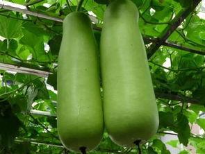 南充吃瓜爆料公司电话是多少,电话号码大公开！