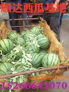 南充吃瓜爆料公司电话是多少,电话号码大公开！