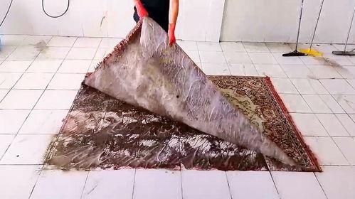 地毯清洗视频,轻松掌握家庭清洁技巧