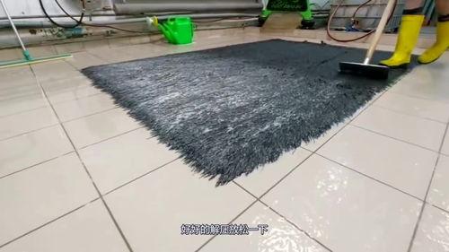 地毯清洗视频,轻松掌握家庭清洁技巧