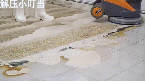 地毯清洗视频,轻松掌握家庭清洁技巧