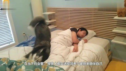 憋尿失禁视频,揭秘尴尬时刻背后的生理奥秘