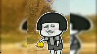 爆笑小视频大全,让你笑到肚子疼