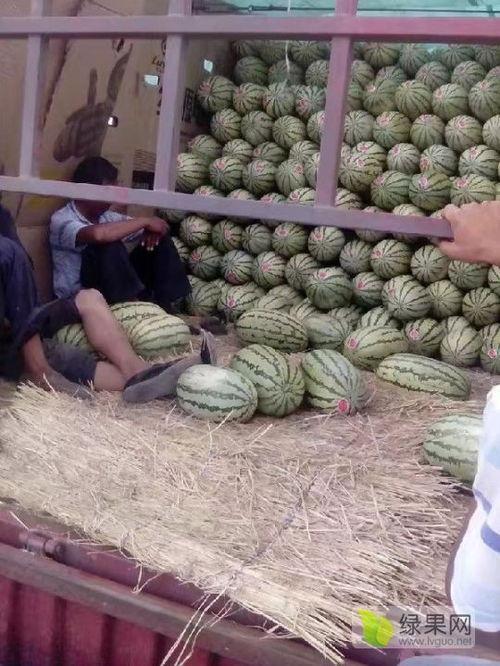 山西麒麟瓜今日价格,品质之选，价格亲民