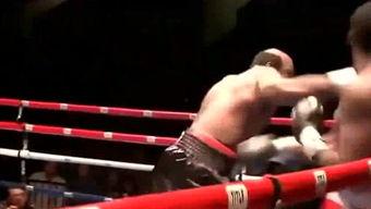 格斗视频,格斗视频精彩回顾