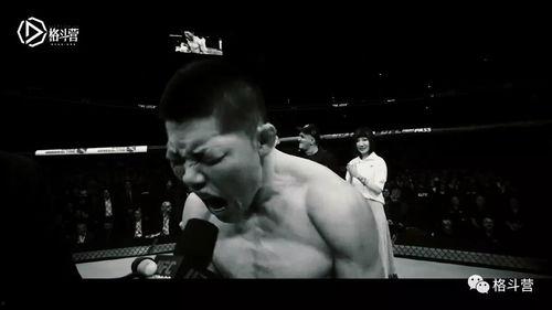 格斗视频,格斗视频精彩回顾
