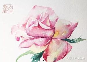 水彩画入门视频,跟随视频轻松掌握色彩魅力