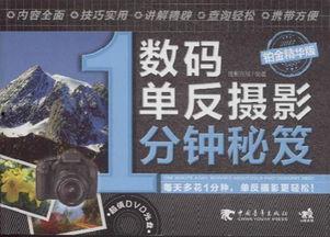 精华视频,揭秘行业前沿动态