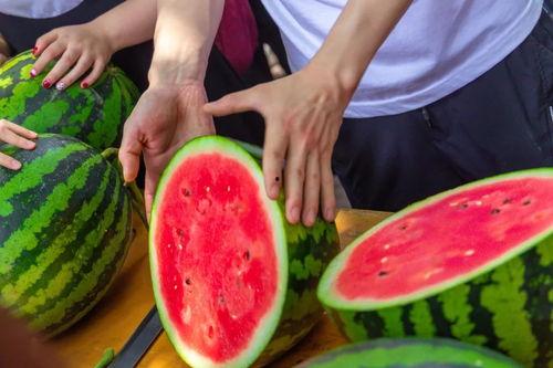 长沙学院吃瓜爆料,吃瓜爆料揭秘校园热点事件