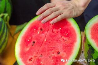 长沙学院吃瓜爆料,吃瓜爆料揭秘校园热点事件