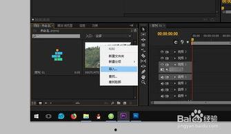 pr怎么导入视频,如何利用PR导入视频并快速生成概述文章副标题