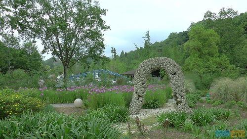 景观视频,景观视频中的视觉盛宴