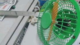 小风扇视频,小风扇视频带你领略清凉一夏