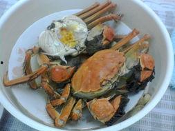 大闸蟹的做法视频,视频详解，轻松学会家常美味