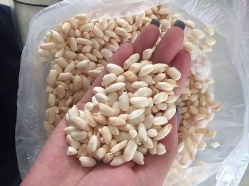 炸爆米花视频,揭秘炸爆米花制作全过程