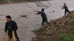 撒网视频,揭秘海洋生物的神秘世界