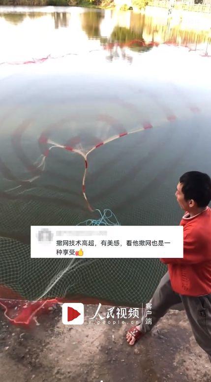 撒网视频,揭秘海洋生物的神秘世界