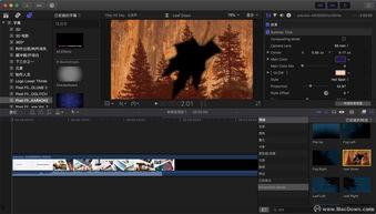 黑场视频,暗藏的真相与未知之谜