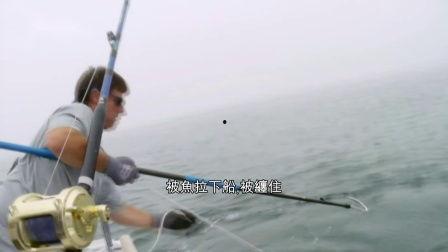 船钓视频,跟随镜头探索水上垂钓的精彩瞬间