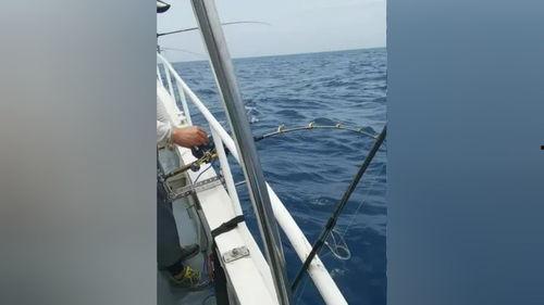 船钓视频,跟随镜头探索水上垂钓的精彩瞬间