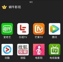 蜗牛的视频播放,探索未知世界的奇妙之旅