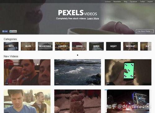 国外免费视频,畅享无界限的视听盛宴