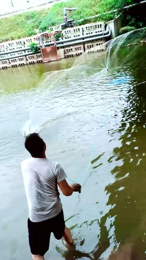 野外捕鱼视频,捕捉自然之美