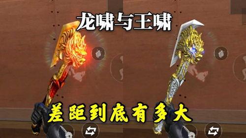 龙啸视频,揭秘神秘龙族传奇，带你领略奇幻世界