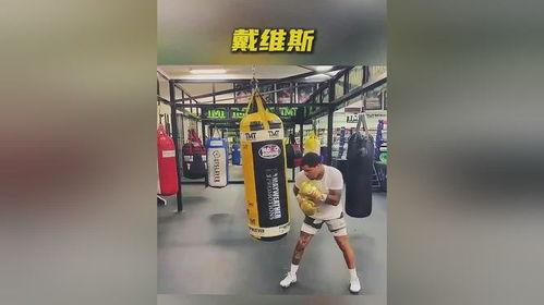 拳击沙袋视频,实战视频深度解读
