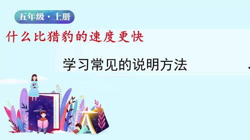 语文微课视频,语文知识要点精讲