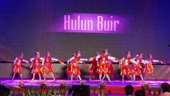 群舞舞蹈视频大全,舞蹈视频大全中的精彩瞬间集锦