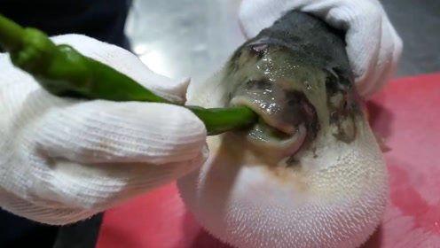 河豚鱼视频,美味与危险的完美交织