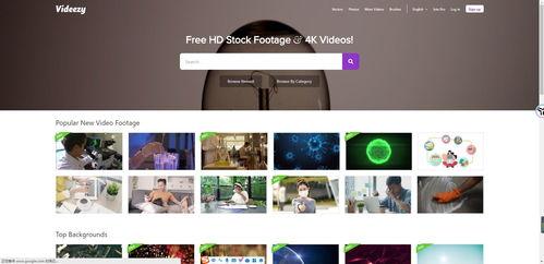 短视频素材下载