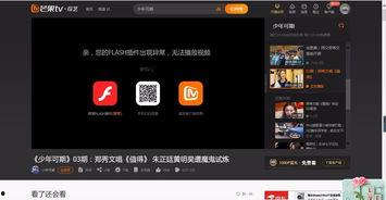 为什么播放不了视频,常见原因及解决方案
