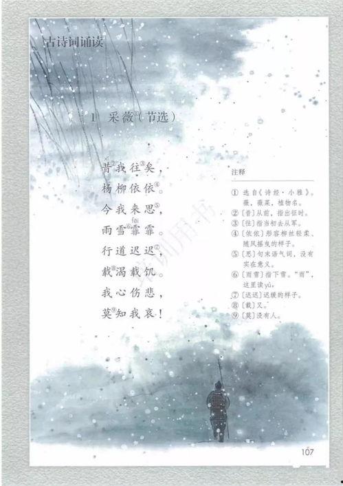 古诗词教学视频