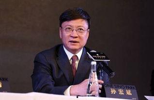 孙宏斌视频,揭秘企业家精神与创业智慧