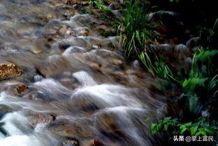 小河淌水视频,流淌着乡愁与自然的旋律