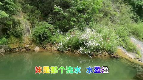 小河淌水视频,流淌着乡愁与自然的旋律