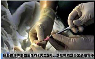 用针刺穿乳头视频