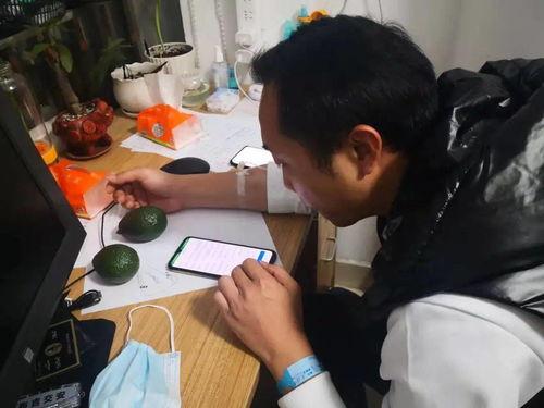 留置针视频,留置针操作技巧与要点解析