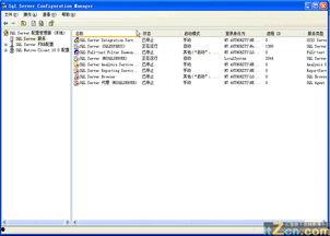 数据库视频,从入门到精通